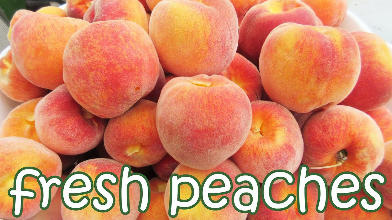 Detail Peach Fruit Images Nomer 17