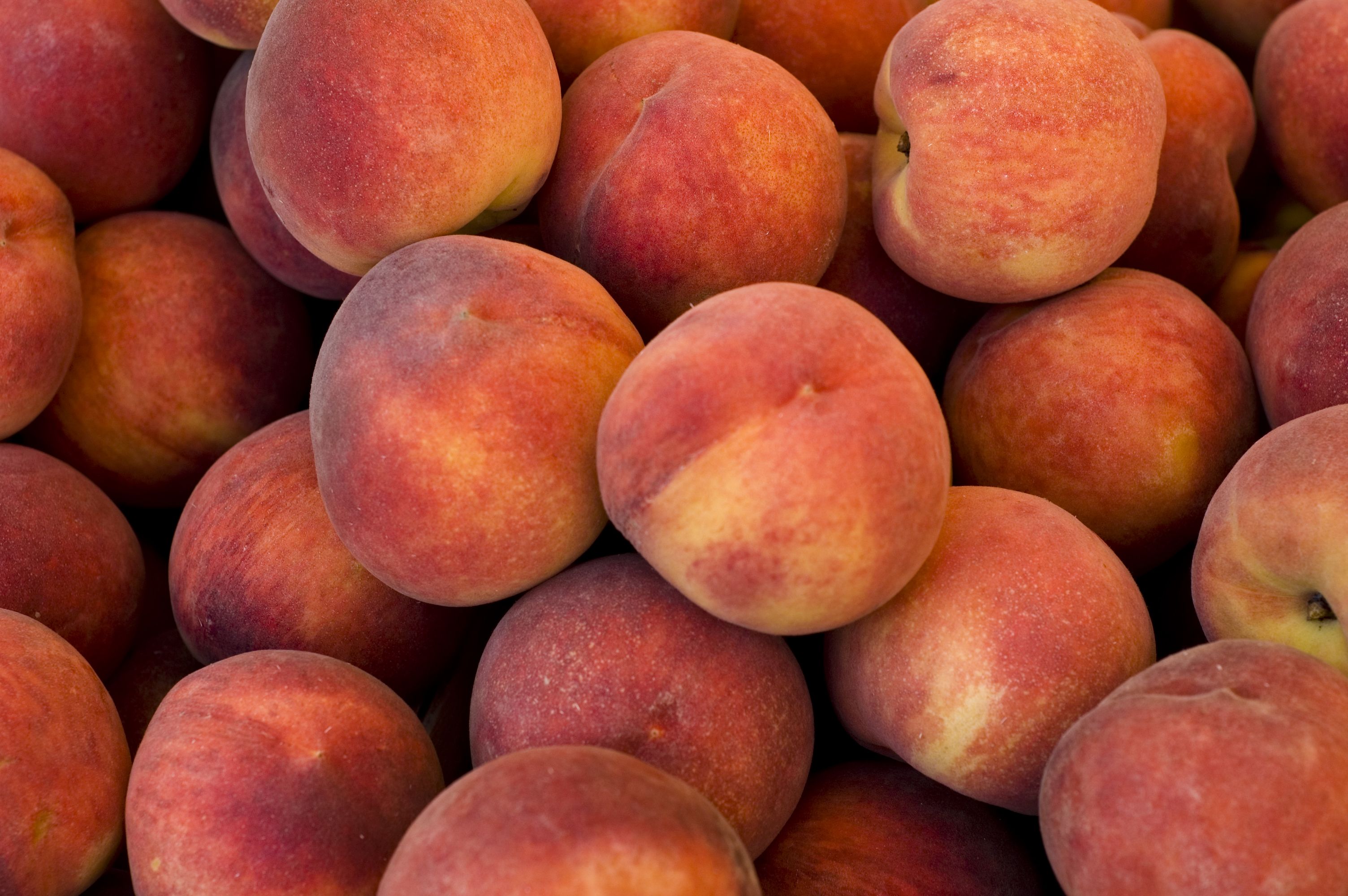 Detail Peach Fruit Images Nomer 21