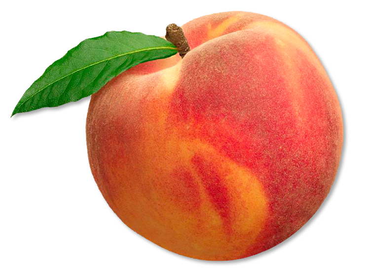 Detail Peach Image Nomer 17