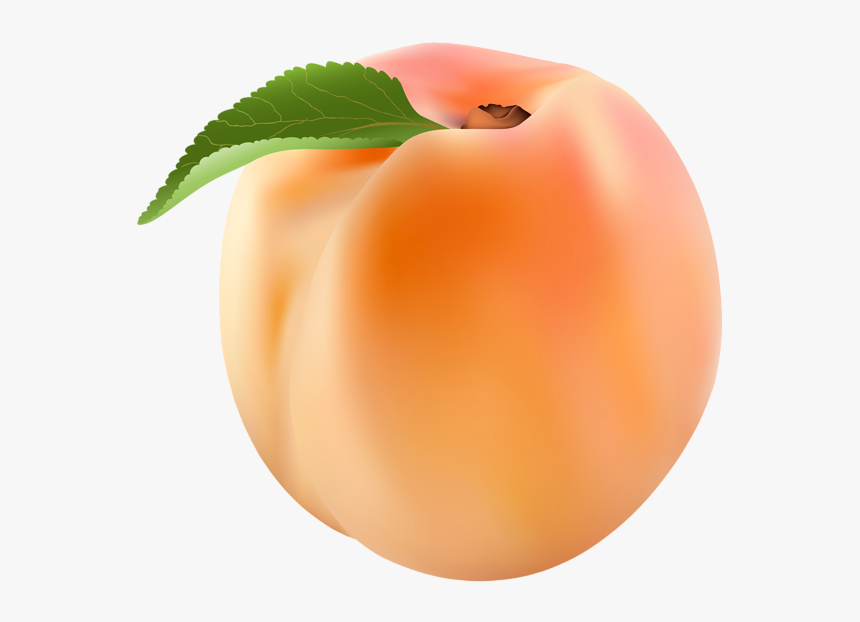 Detail Peach Transparent Background Nomer 12