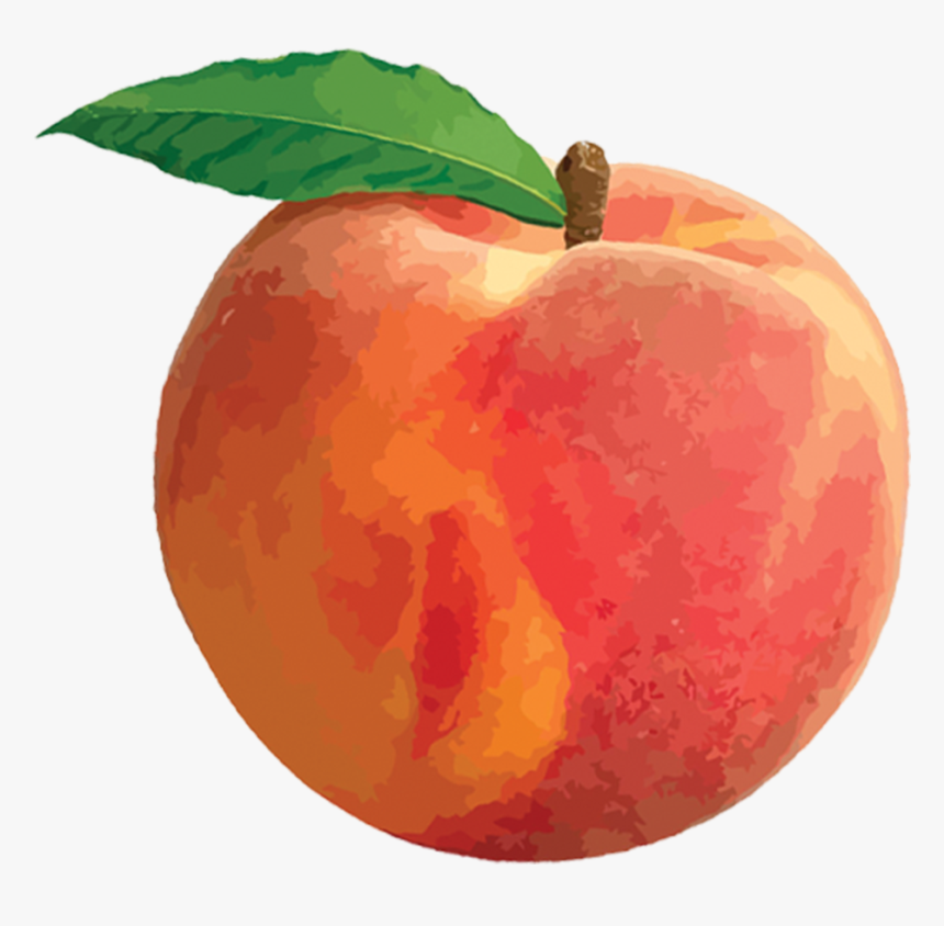 Detail Peach Transparent Background Nomer 5