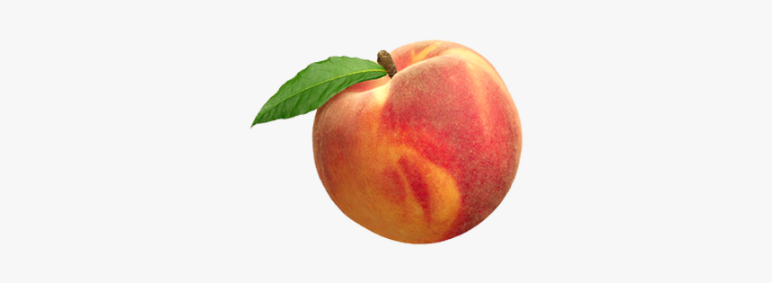 Detail Peach Transparent Background Nomer 45