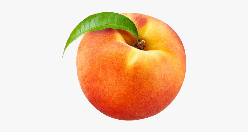 Detail Peach Transparent Background Nomer 6