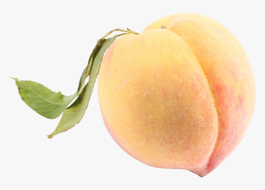 Detail Peach Transparent Background Nomer 46