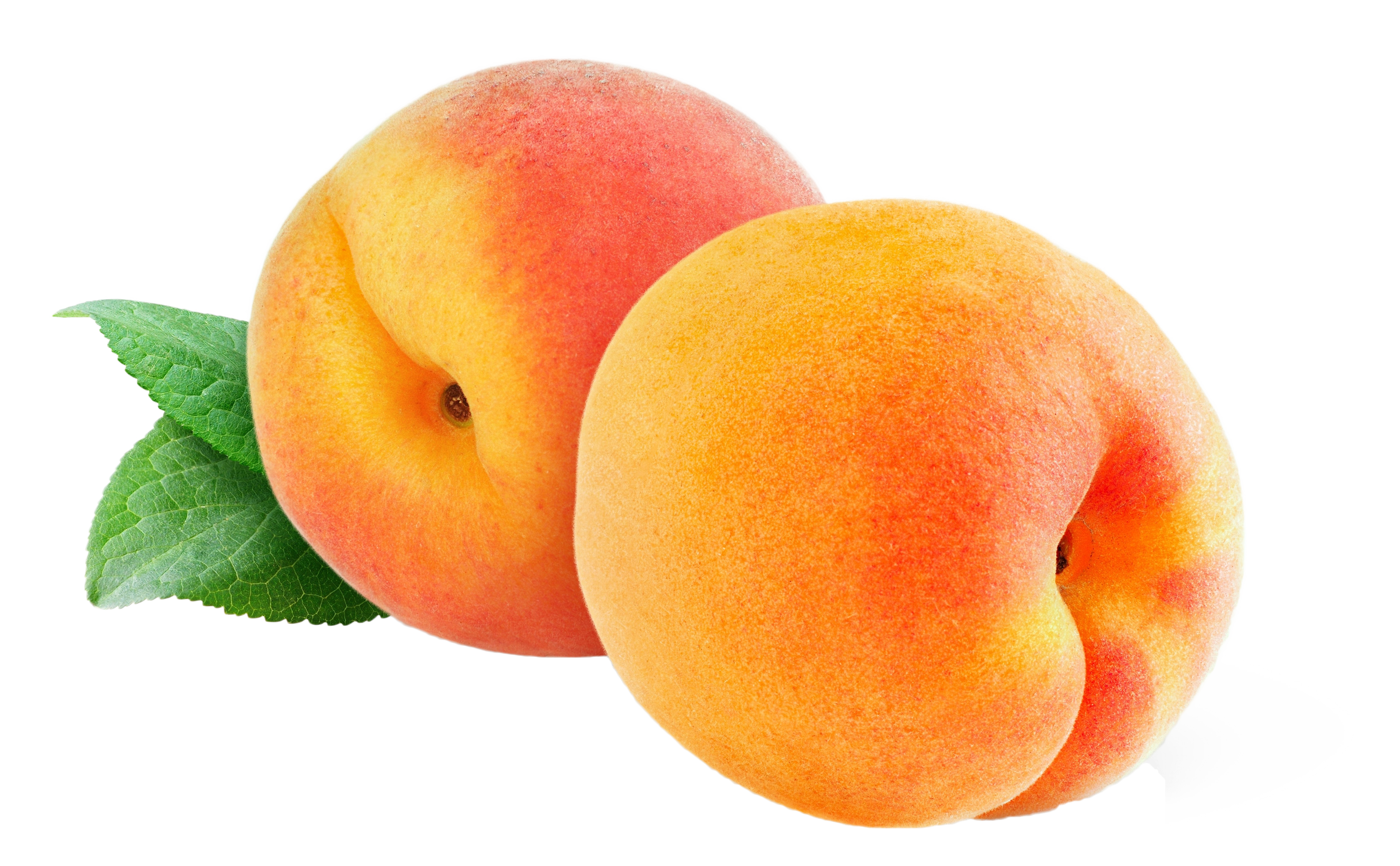 Detail Peach Transparent Background Nomer 47