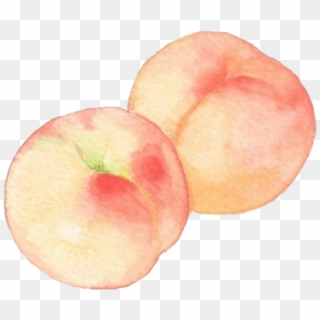 Detail Peach Transparent Background Nomer 48