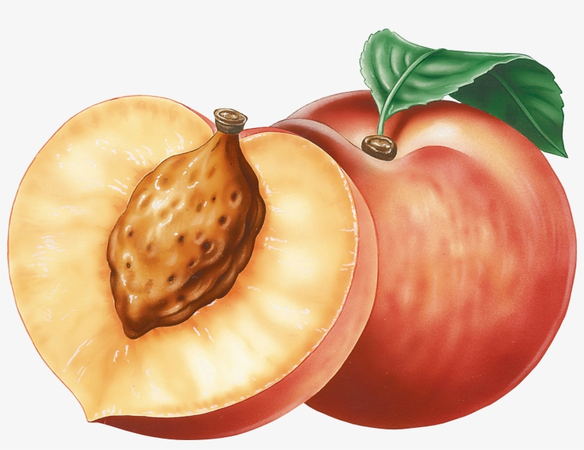 Detail Peach Transparent Background Nomer 52