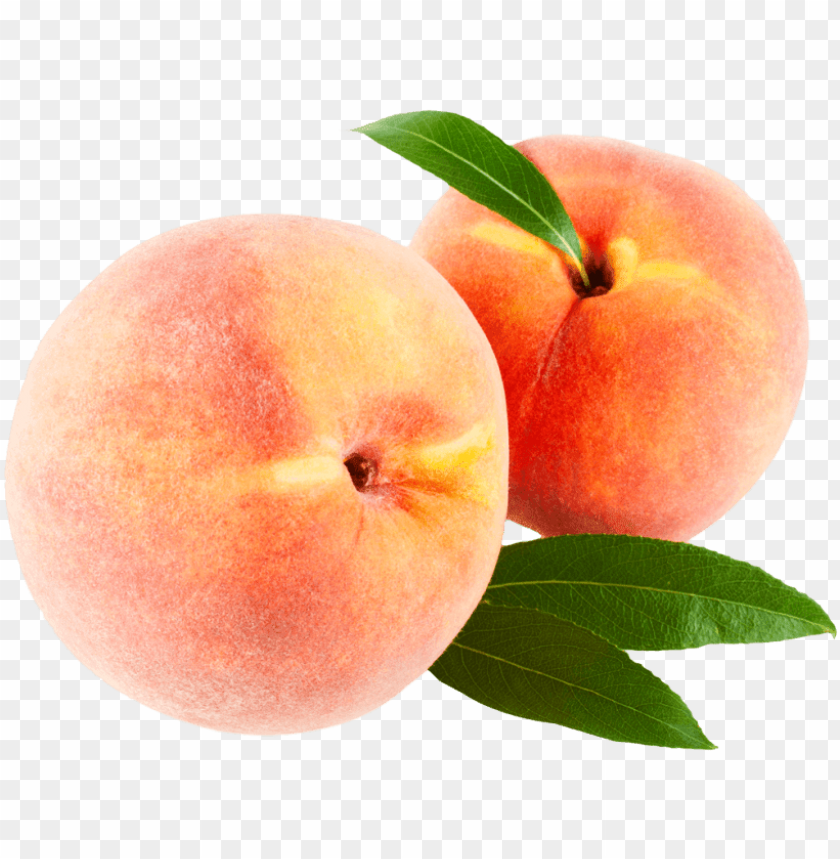 Detail Peach Transparent Background Nomer 7