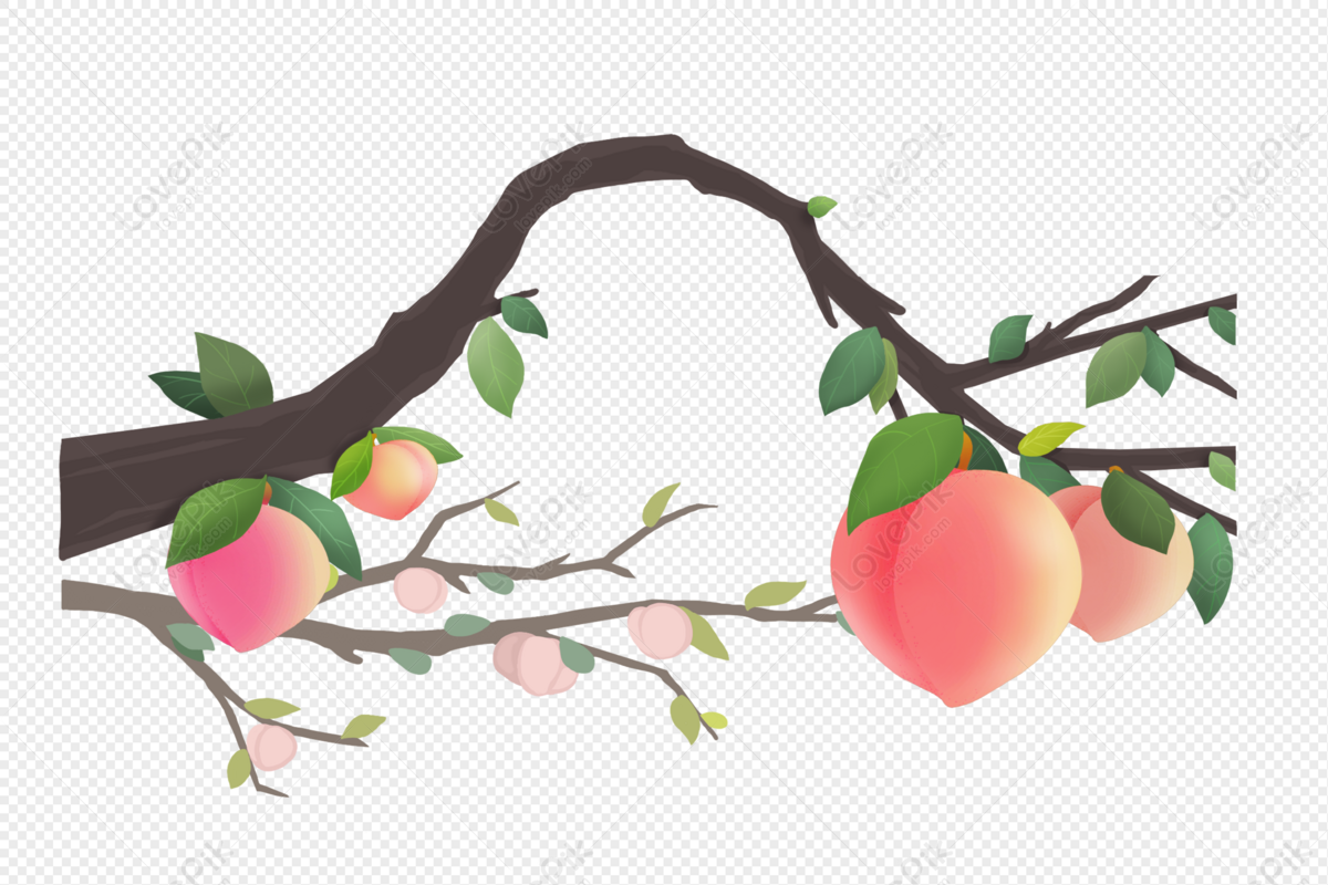 Detail Peach Tree Png Nomer 21