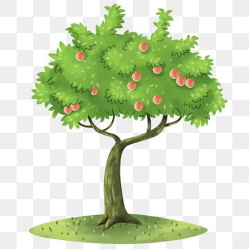 Detail Peach Tree Png Nomer 23