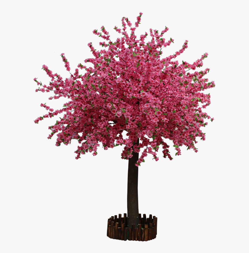 Detail Peach Tree Png Nomer 24