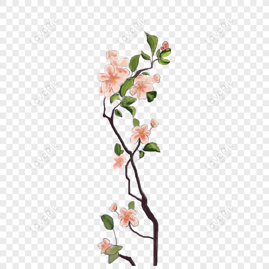 Detail Peach Tree Png Nomer 58