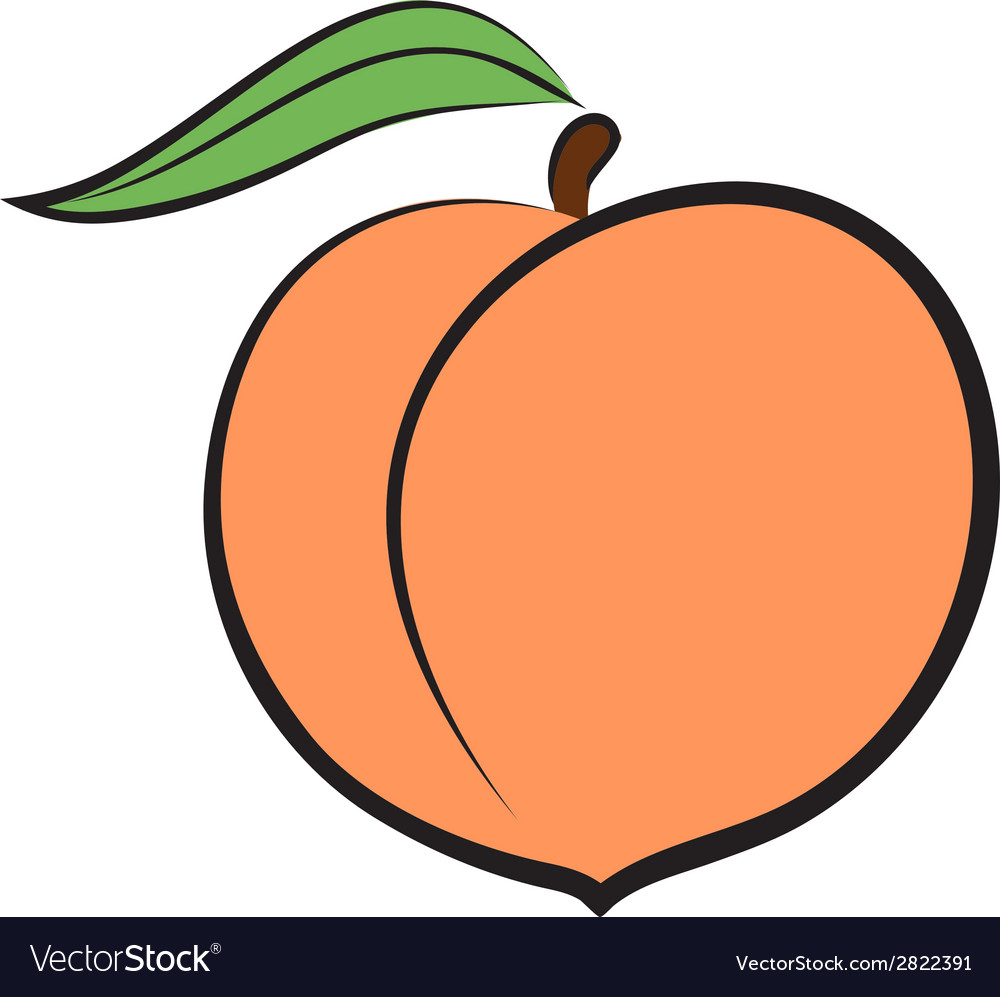 Peach Vector Image - KibrisPDR