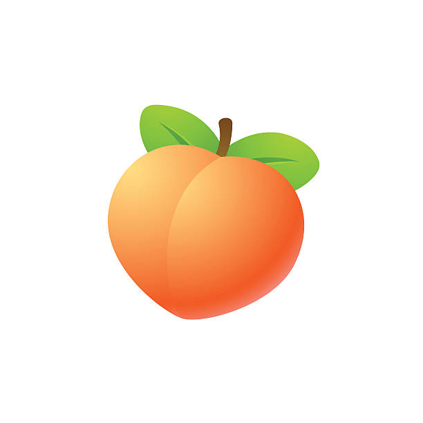 Detail Peach Vector Image Nomer 2