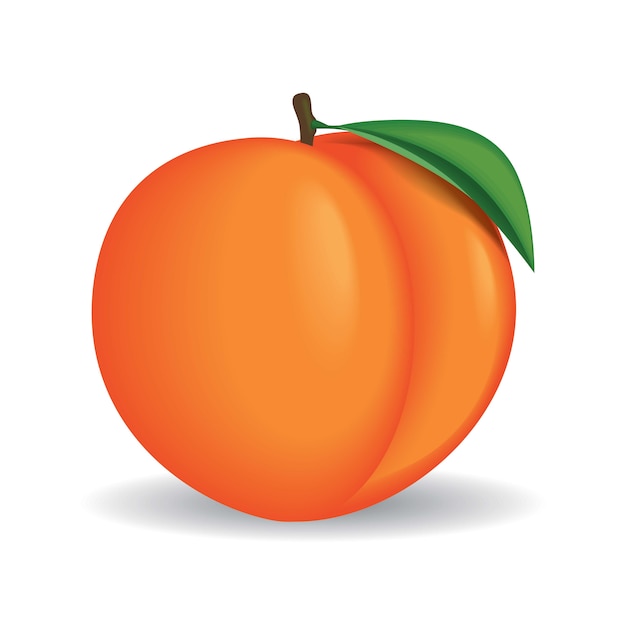 Detail Peach Vector Image Nomer 11