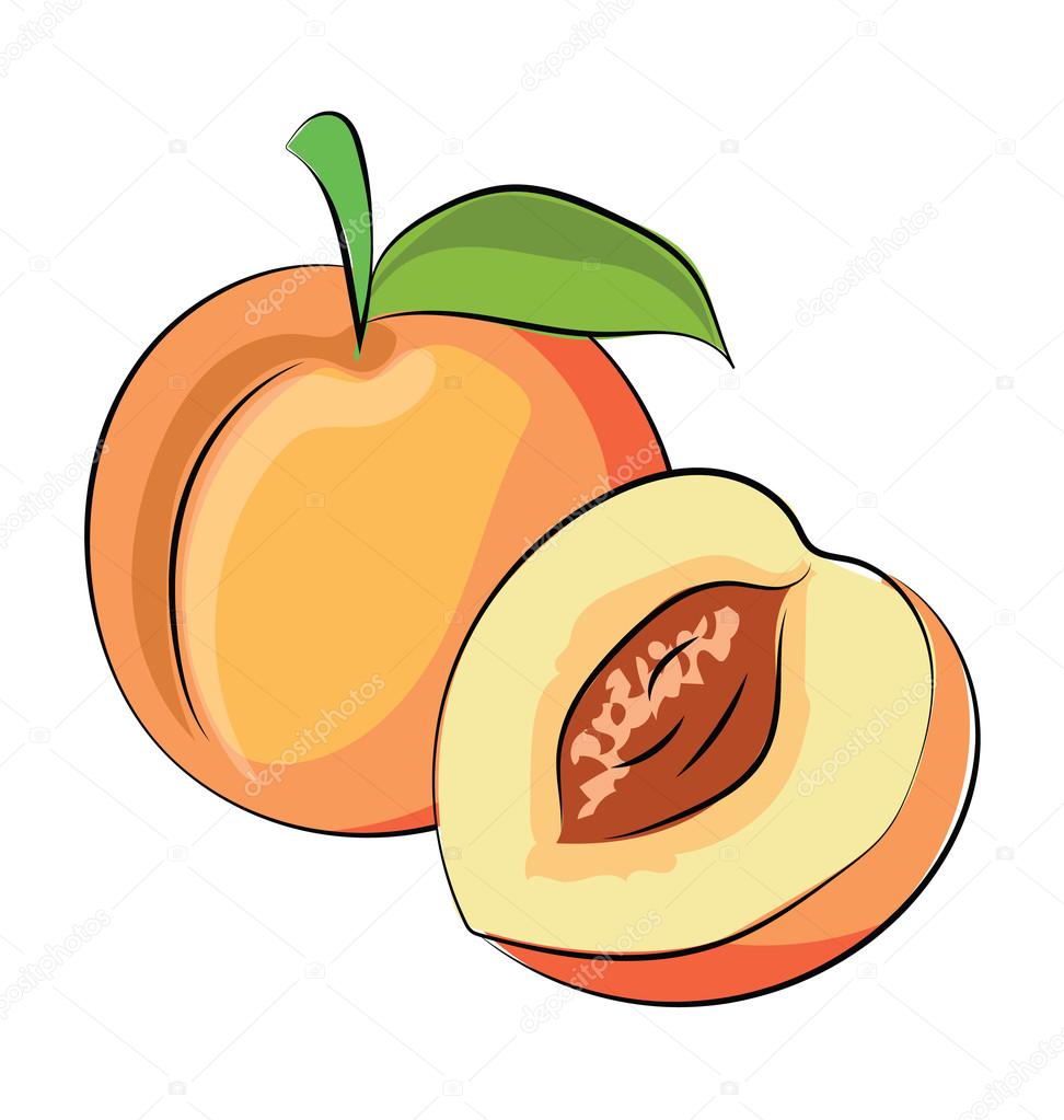 Detail Peach Vector Image Nomer 17