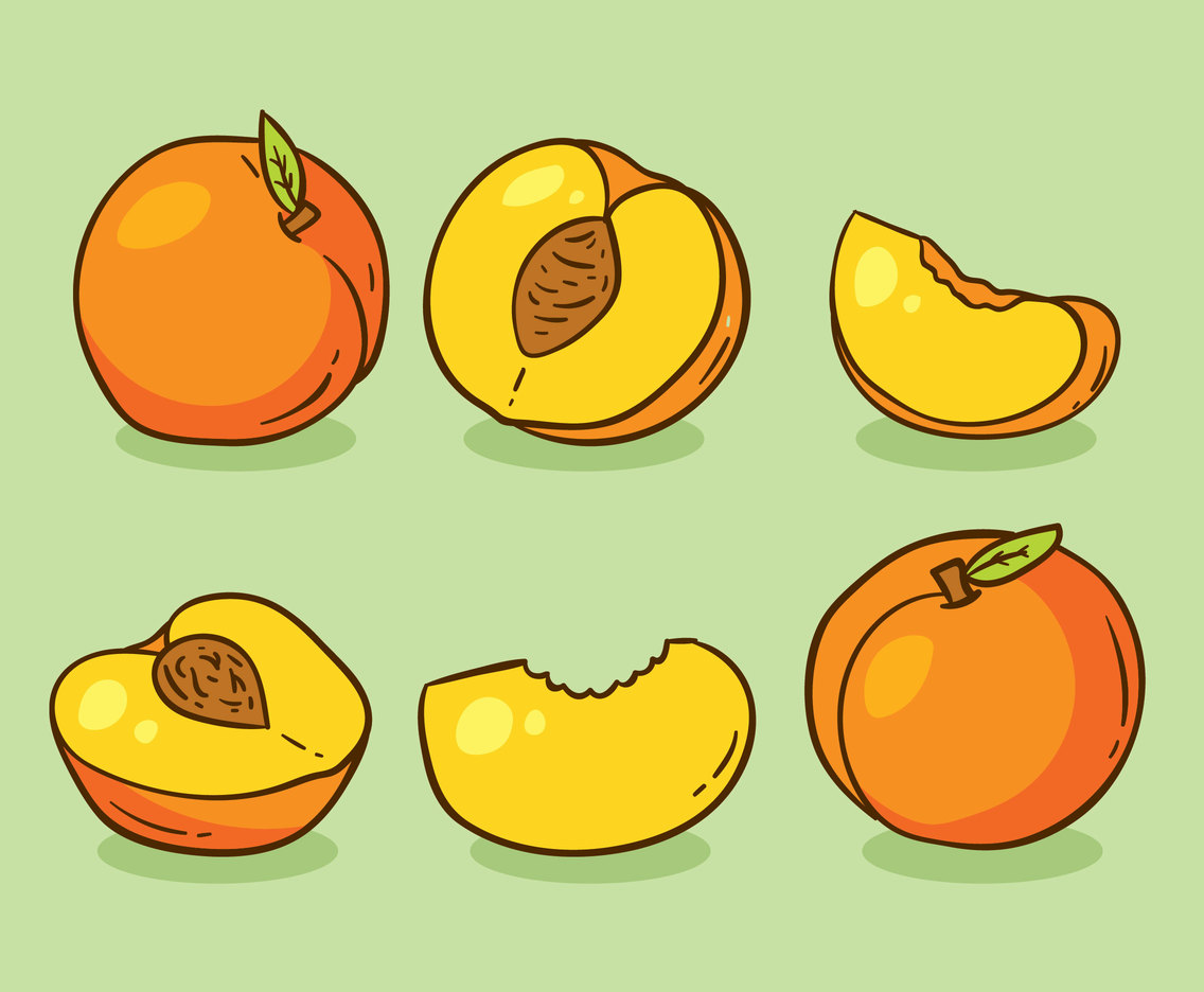 Detail Peach Vector Image Nomer 20