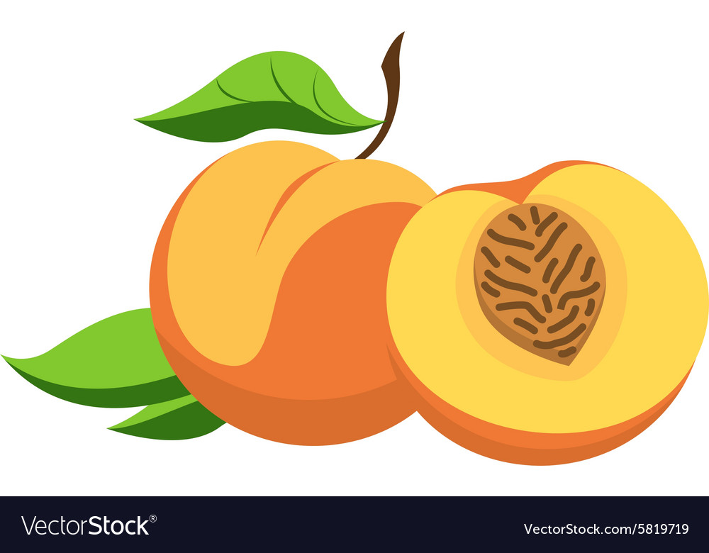Detail Peach Vector Image Nomer 23
