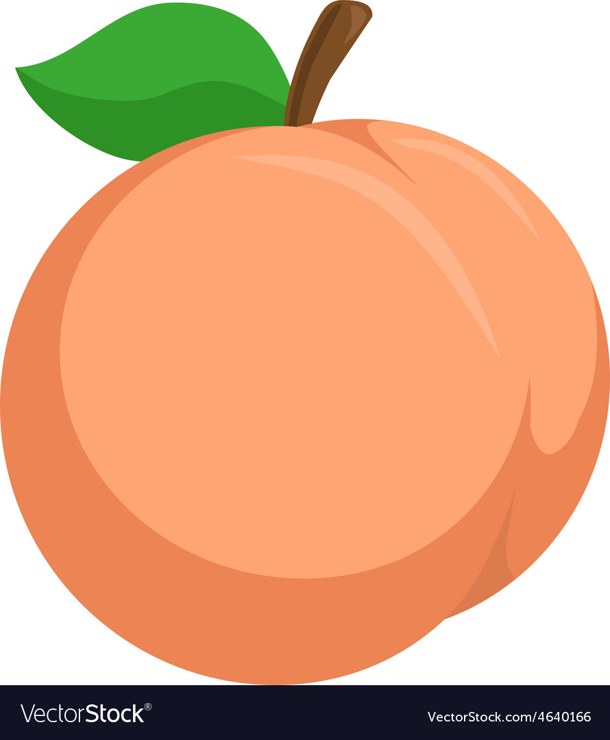 Detail Peach Vector Image Nomer 27