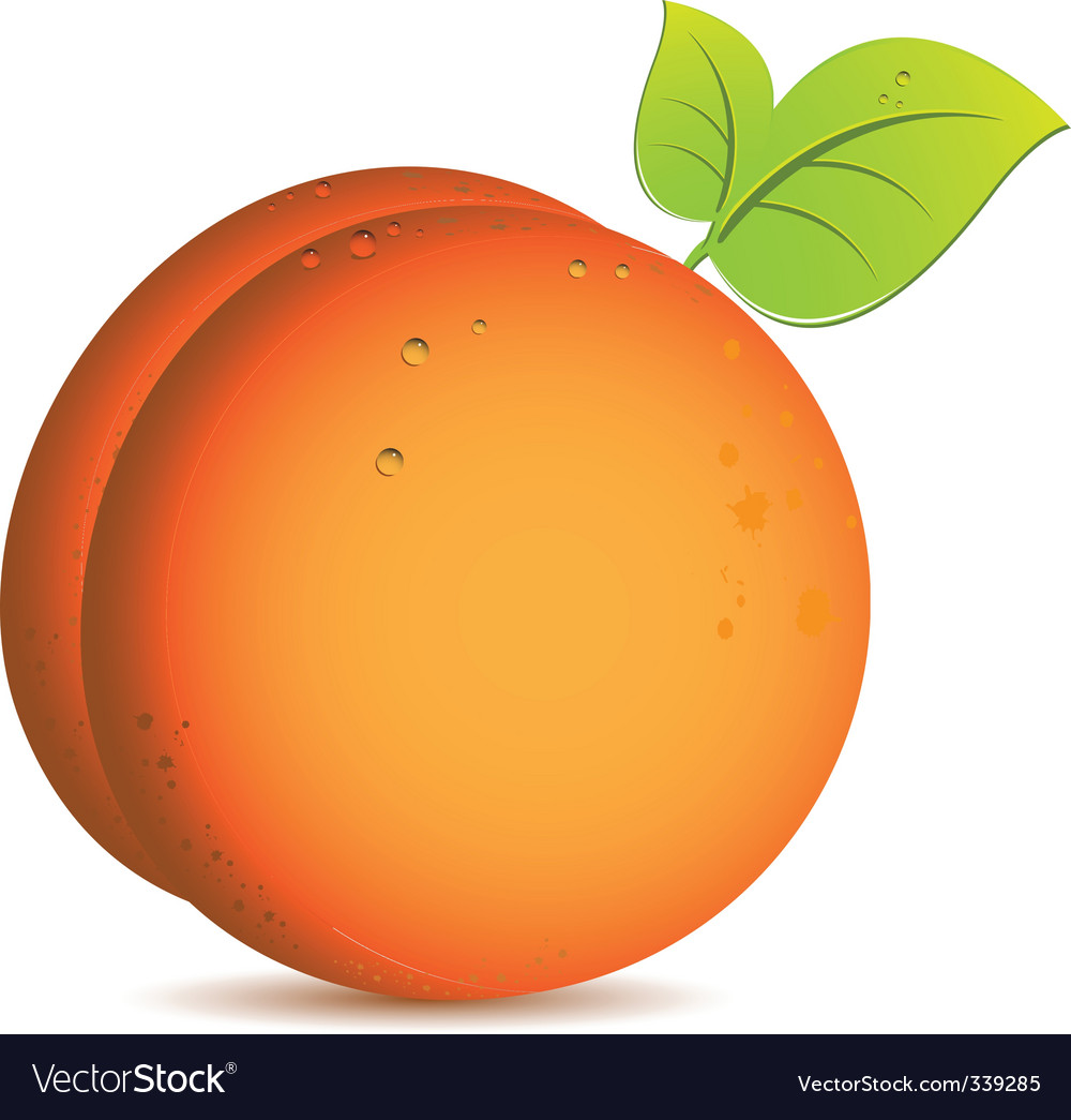 Detail Peach Vector Image Nomer 4
