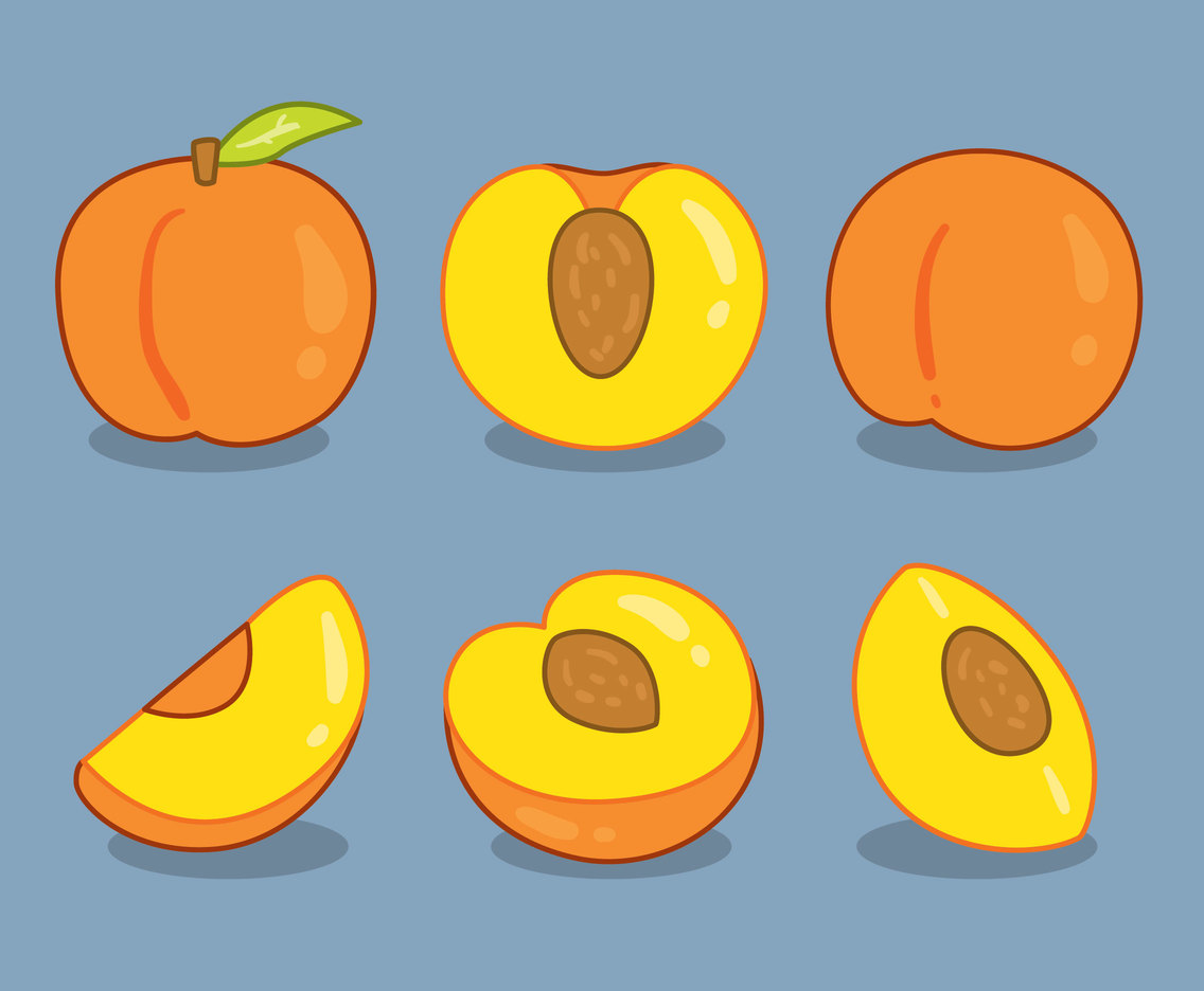 Detail Peach Vector Image Nomer 30