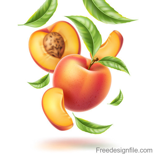 Detail Peach Vector Image Nomer 37