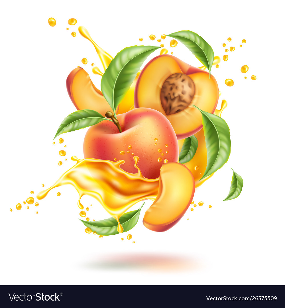 Detail Peach Vector Image Nomer 38