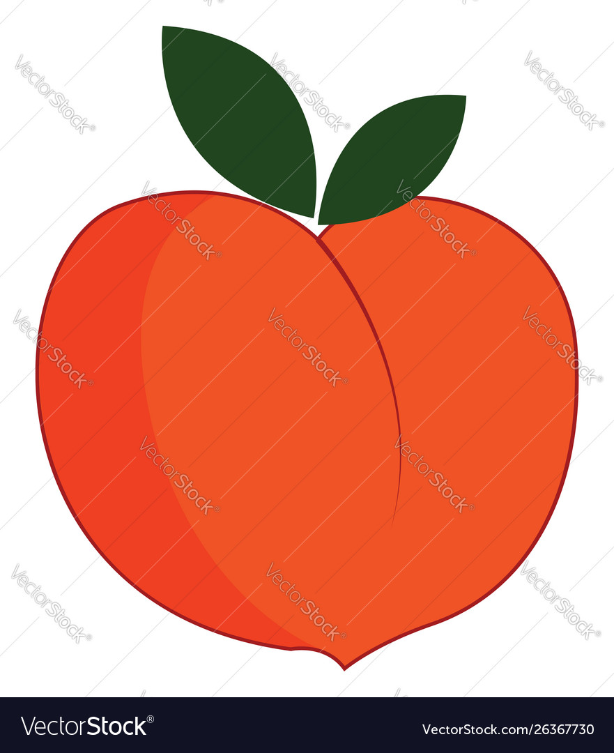 Detail Peach Vector Image Nomer 44