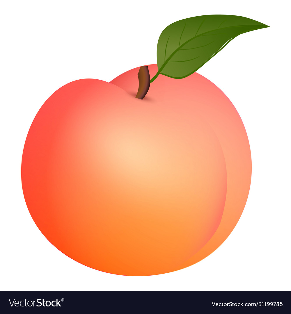 Detail Peach Vector Image Nomer 47
