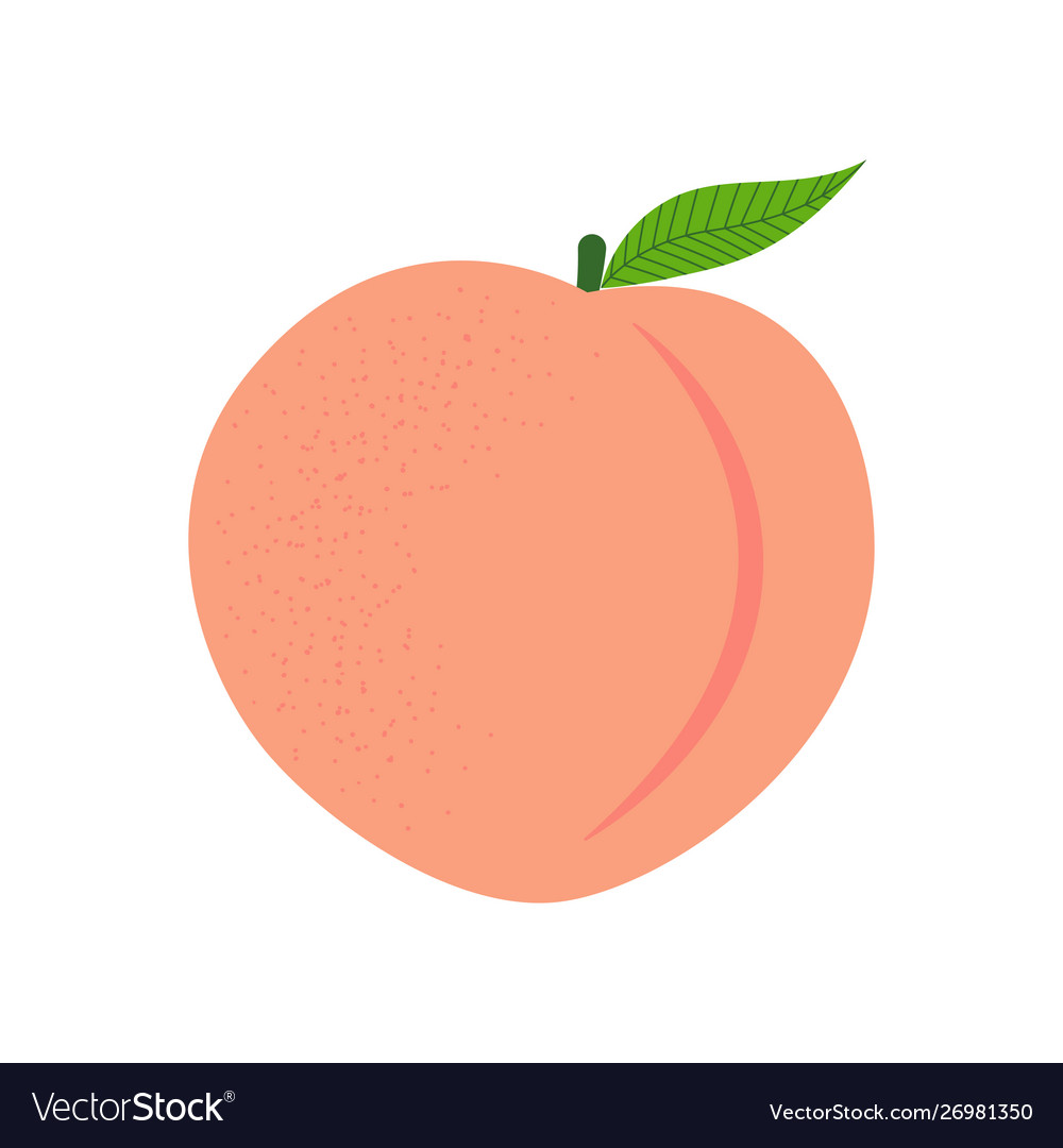Detail Peach Vector Image Nomer 6