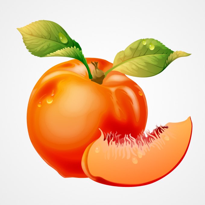 Detail Peach Vector Image Nomer 8
