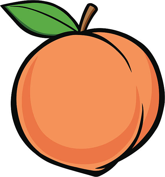 Detail Peach Vector Image Nomer 10