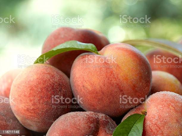 Detail Peaches Download Nomer 18