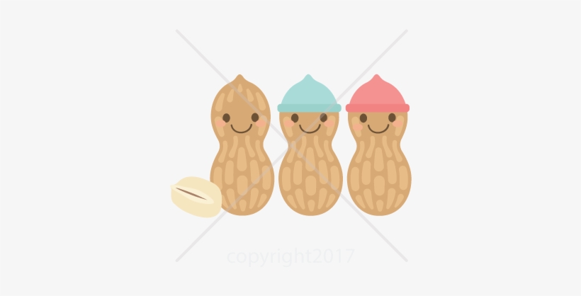 Detail Peanut Clipart Free Nomer 31