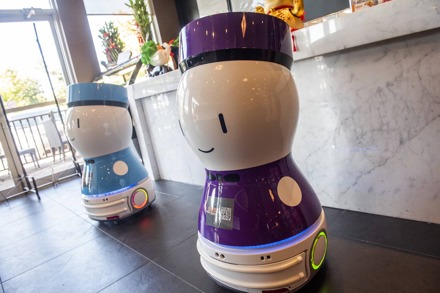 Detail Peanut Robot Waiter Nomer 21