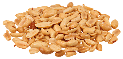 Detail Peanut Transparent Nomer 20