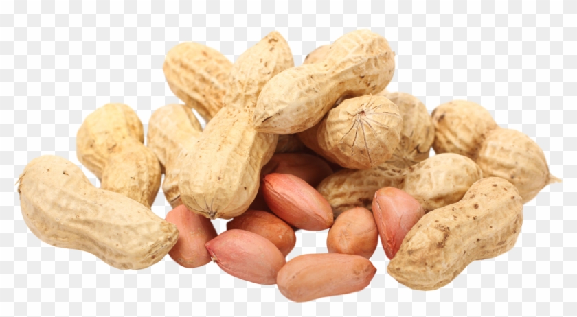 Detail Peanut Transparent Nomer 3