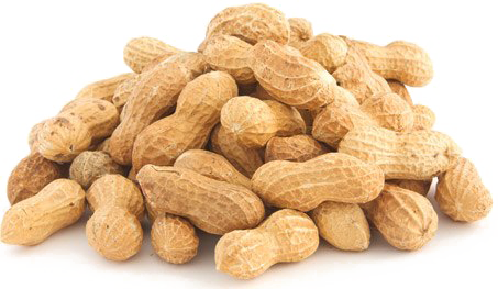 Detail Peanut Transparent Nomer 36
