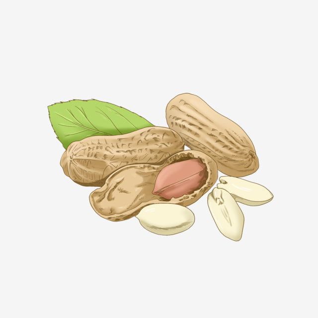 Detail Peanut Transparent Nomer 45