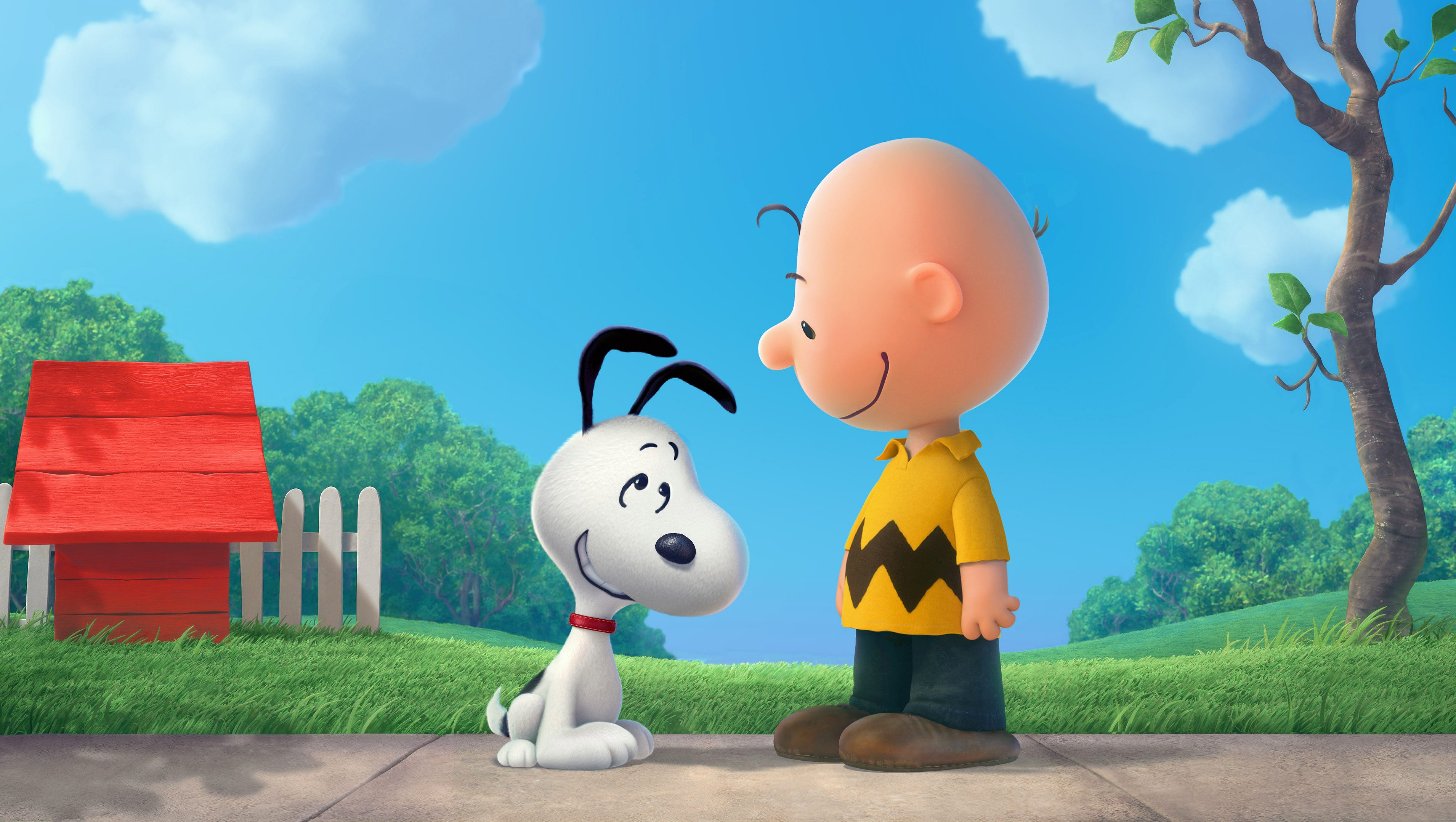 Detail Peanuts Charlie Brown Pictures Nomer 7