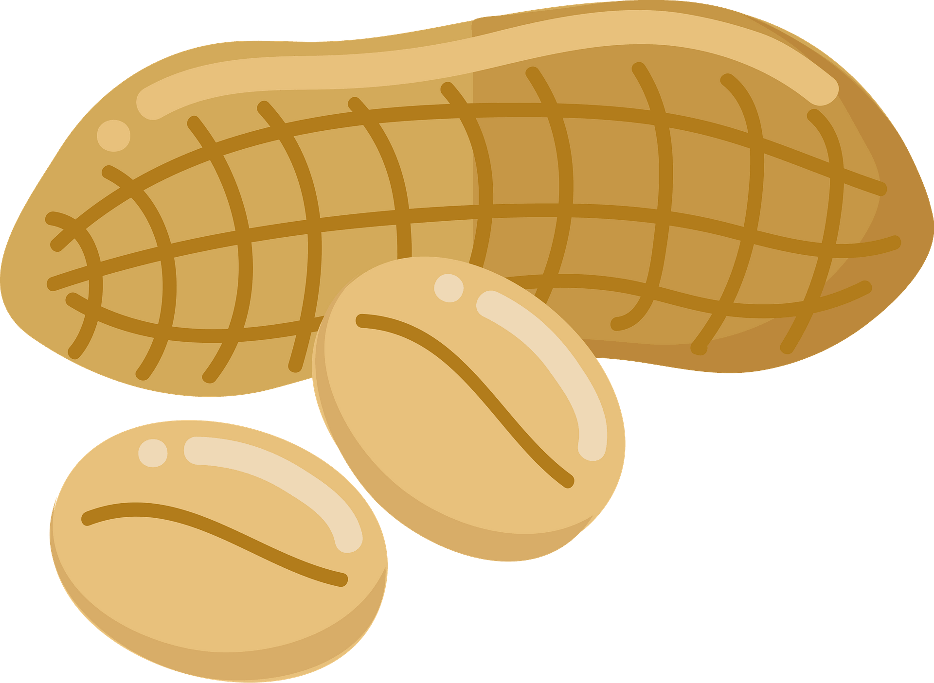 Detail Peanuts Clipart Nomer 3