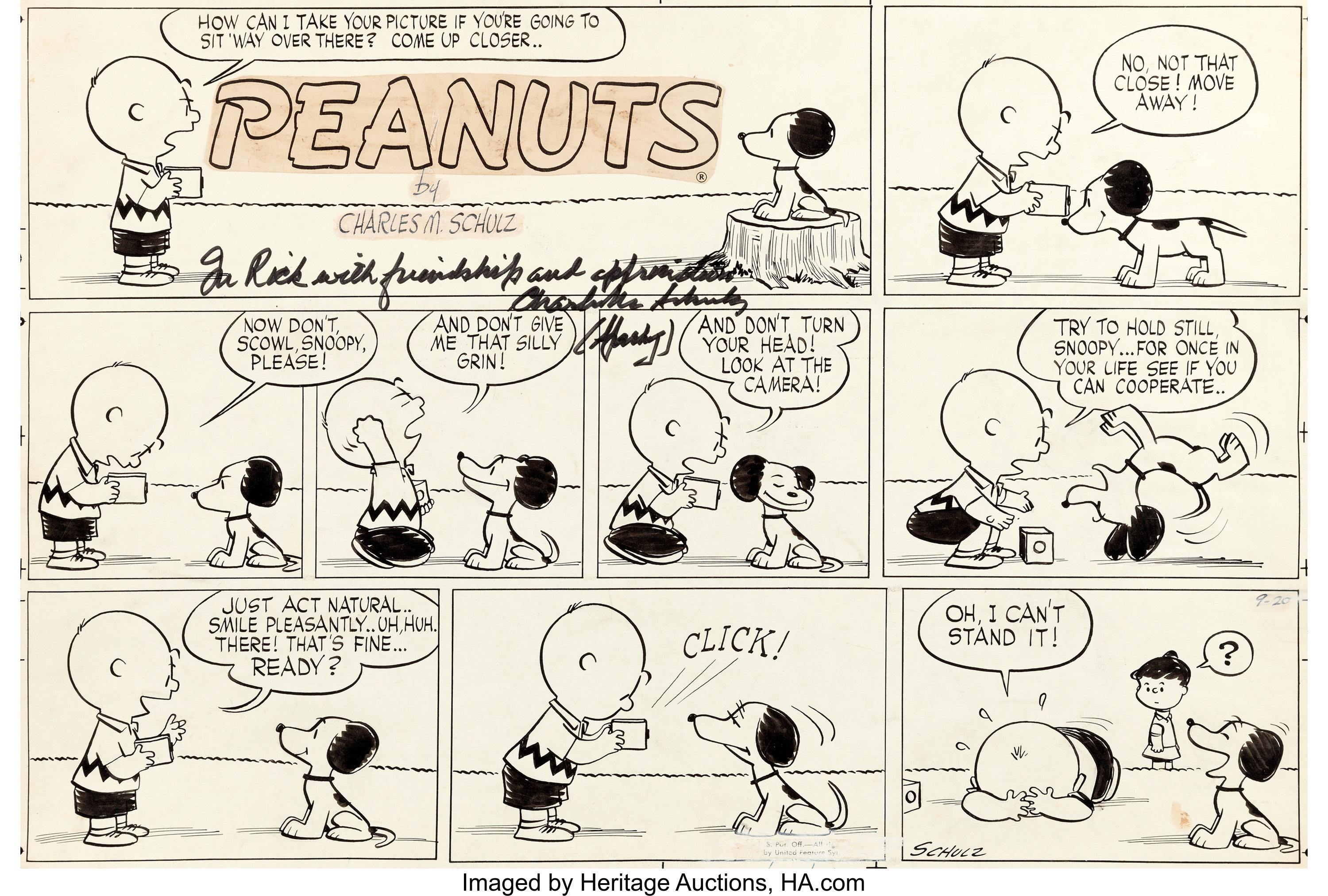 Detail Peanuts Comic Strip Images Nomer 18