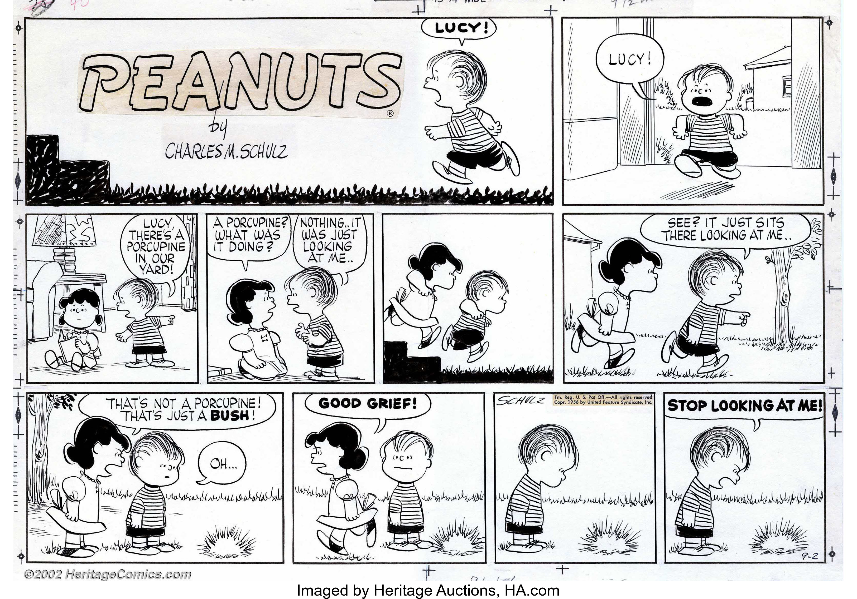 Detail Peanuts Comic Strip Images Nomer 35