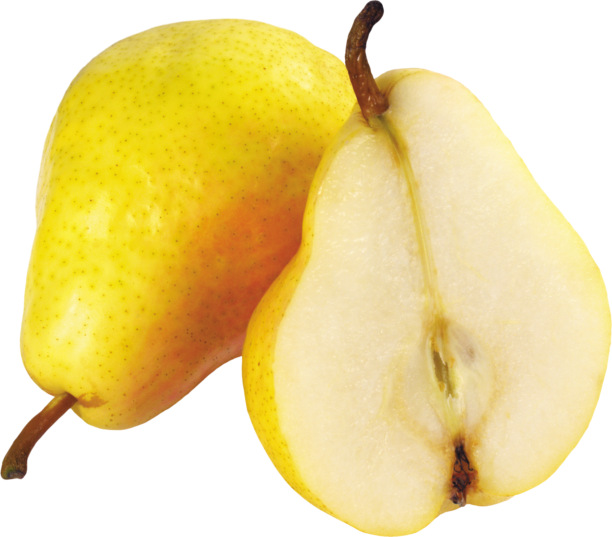 Detail Pear Download Nomer 6