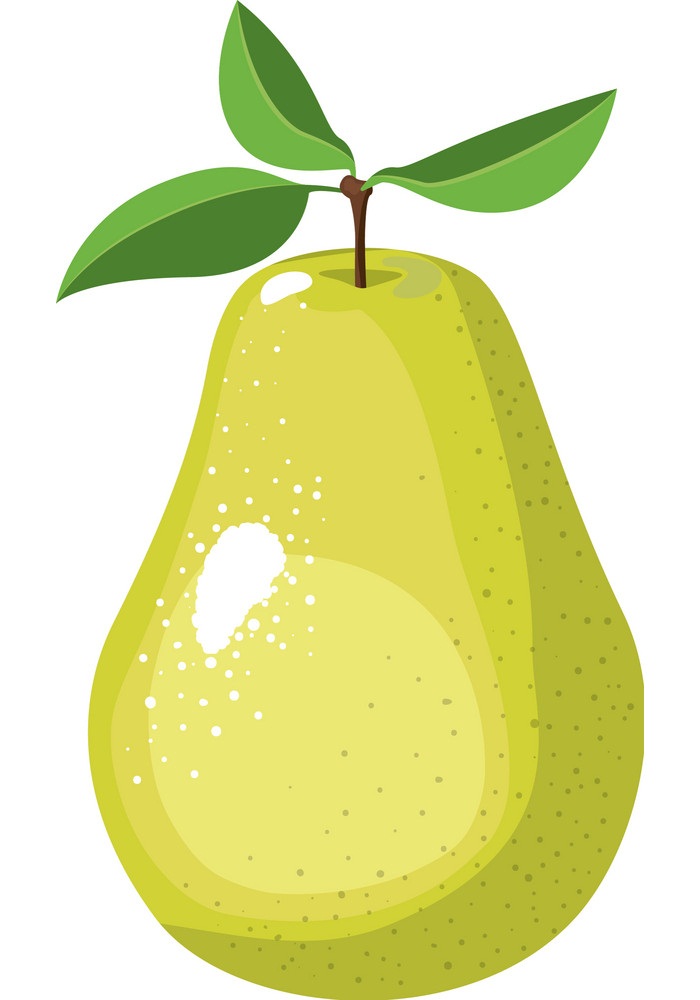 Detail Pear Fruit Clipart Nomer 18