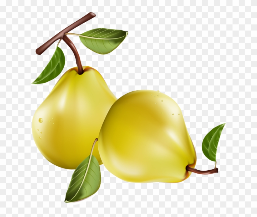Detail Pear Fruit Clipart Nomer 21