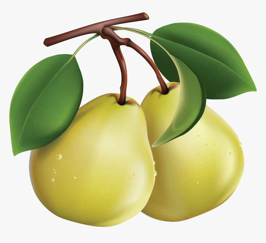 Detail Pear Fruit Clipart Nomer 46