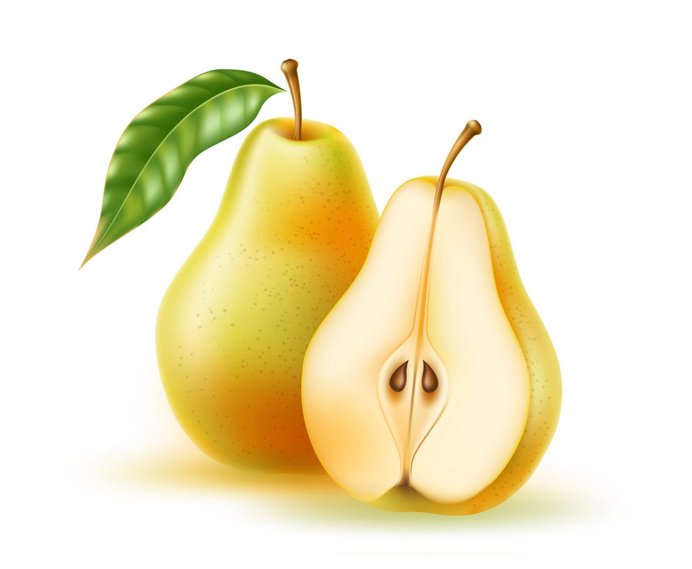 Detail Pear Fruit Clipart Nomer 50