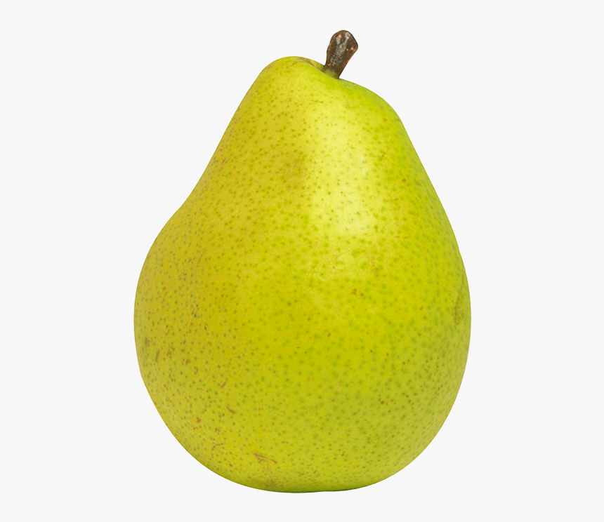 Detail Pear Fruit Clipart Nomer 8