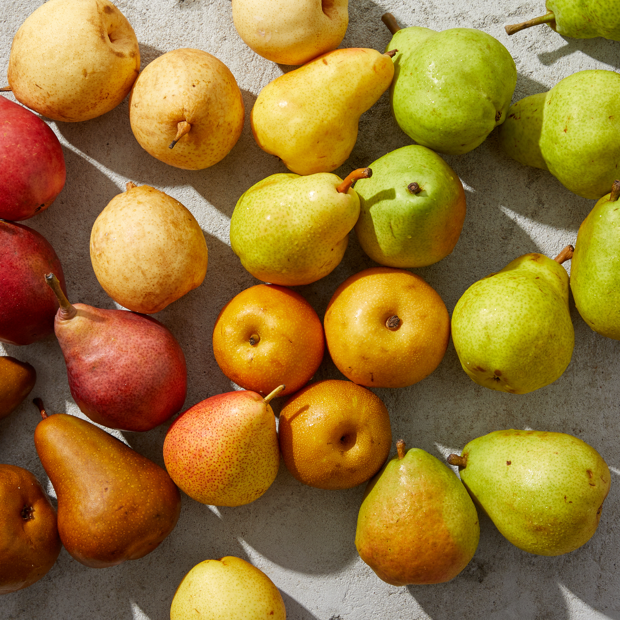 Detail Pear Image Nomer 26